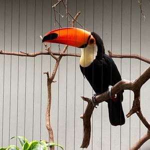 Meet your Posher, Luke